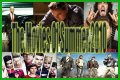 The Movies of Summer 2010